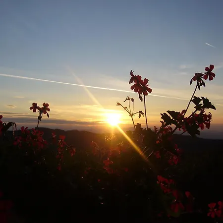 Biolandhaus Arche Otel Eberstein