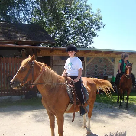 Otel Biolandhaus Arche 3*