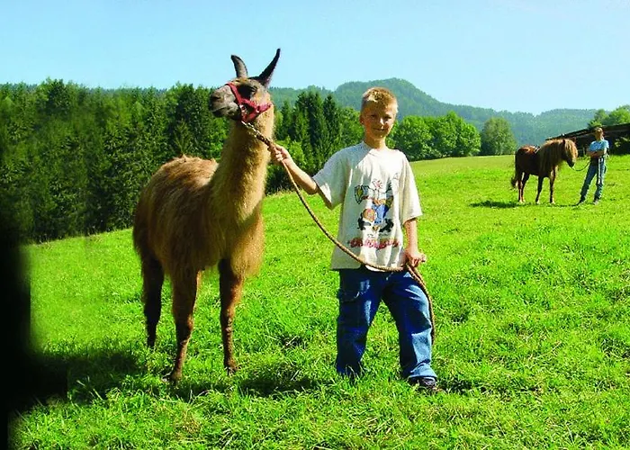 Biolandhaus Arche 3* Eberstein