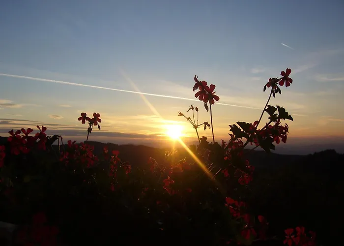 Biolandhaus Arche Hotel Eberstein