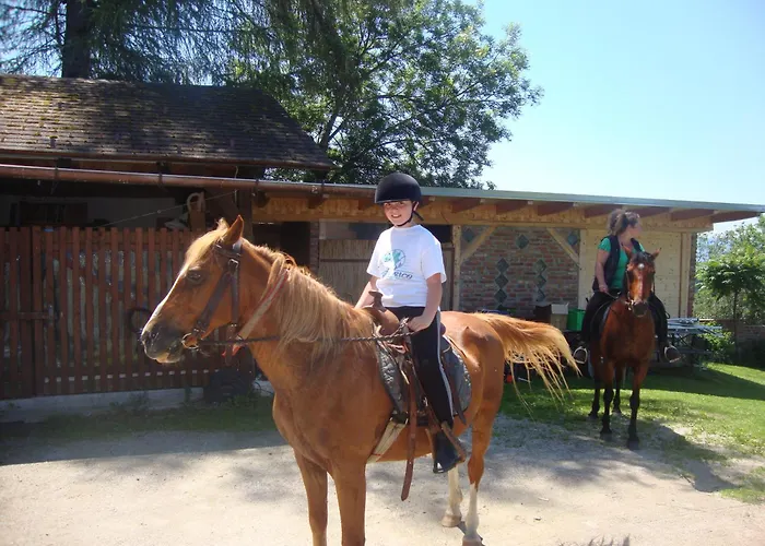 Hotel Biolandhaus Arche 3*