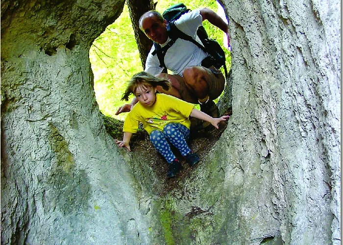 Biolandhaus Arche Hotel