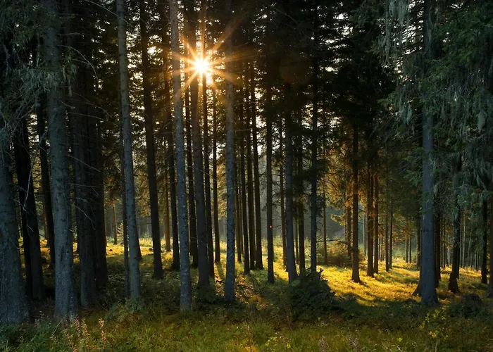 Ξενοδοχείο Biolandhaus Arche